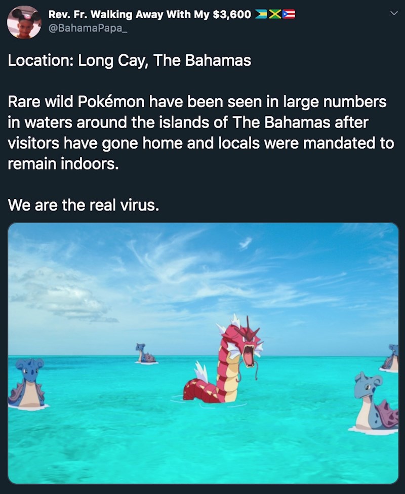 Na Bahamima nema turista, pa su se vratili Pokemoni! :D