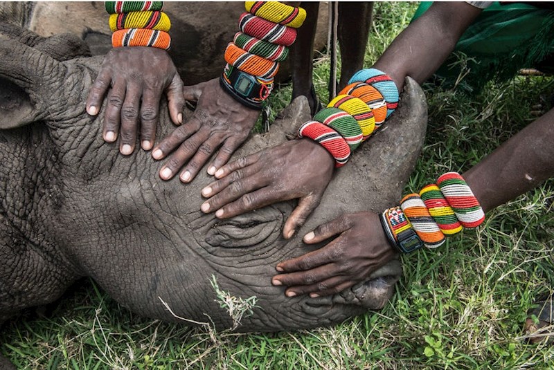 "Guardian Warriors" Ami Vitale