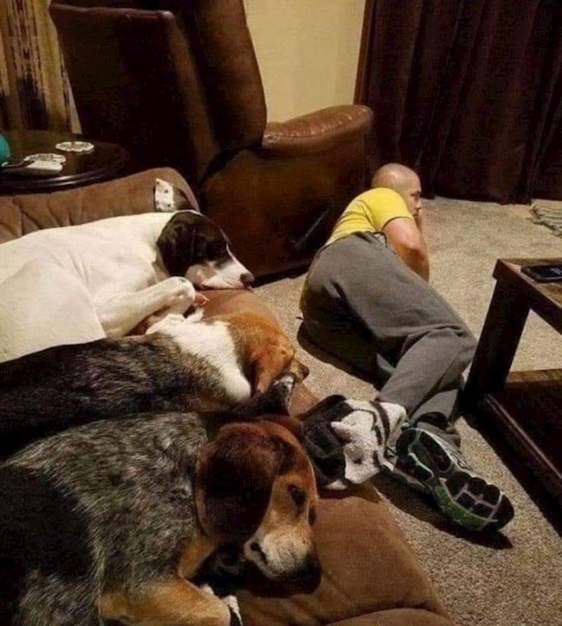 Nek se zna tko je gazda