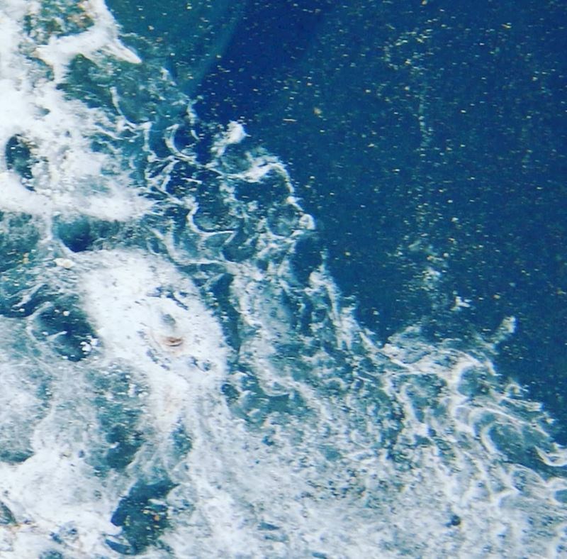 Ptičji izmet na vjetrobranskom staklu izgleda kao fotografija morske obale