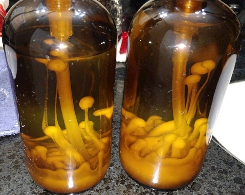 Ovaj lik koji je pomiješao sva sapuna i to je izgledalo kao gljive u staklenci