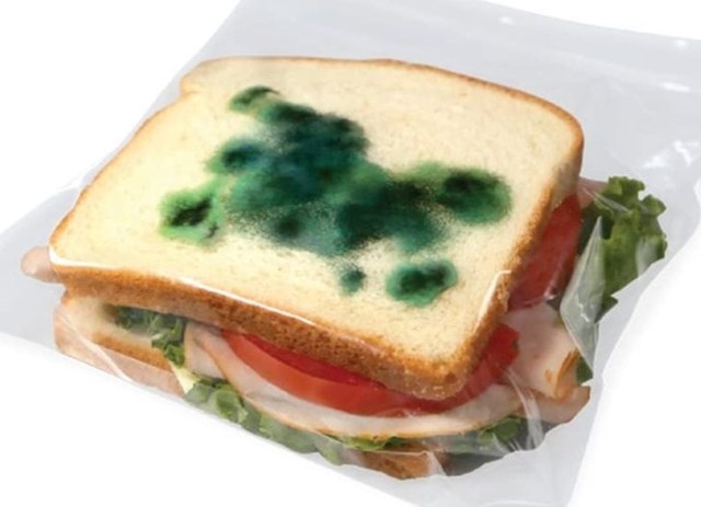 lažna plijesan za kradljivce sendviča