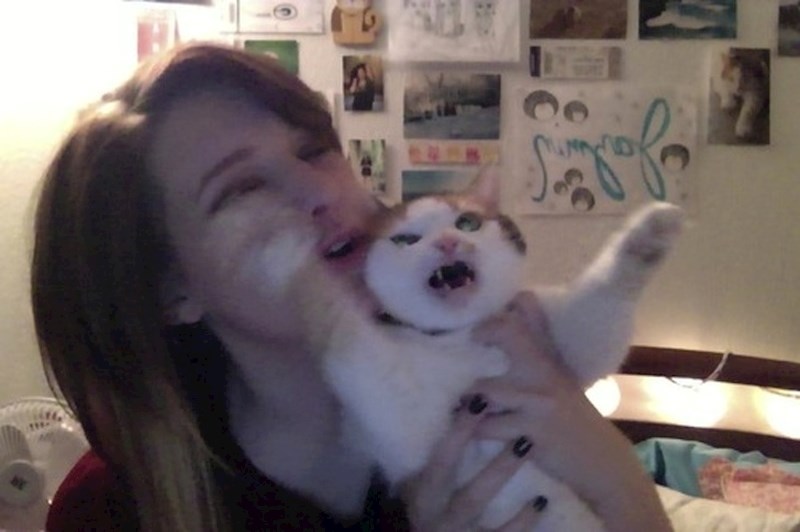 Ovu mačku će shvatiti svi ljudi koji mrze selfie