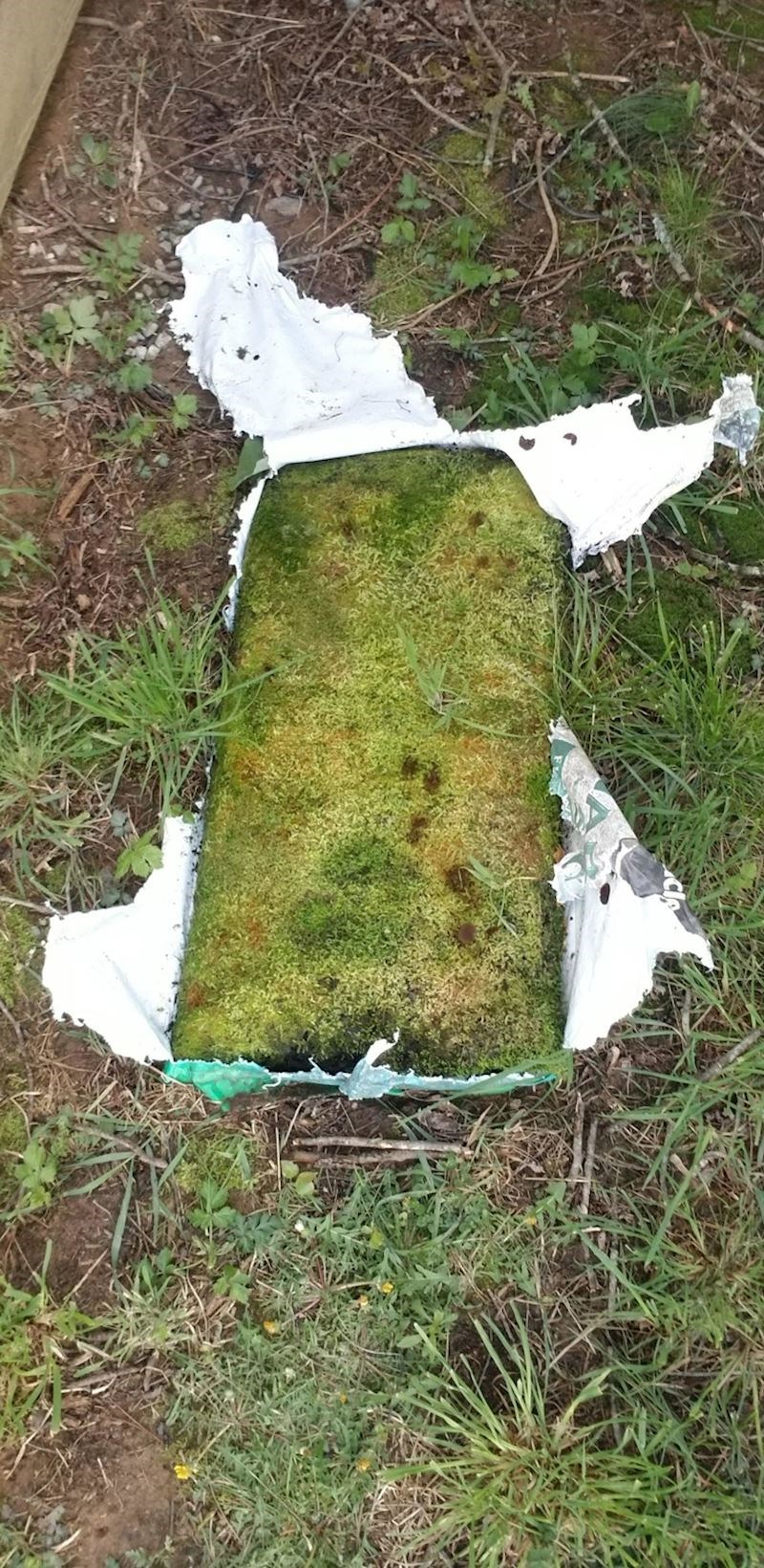 "Mislio sam da je u vrećici zemlja, a pronašao sam mahovinu..."