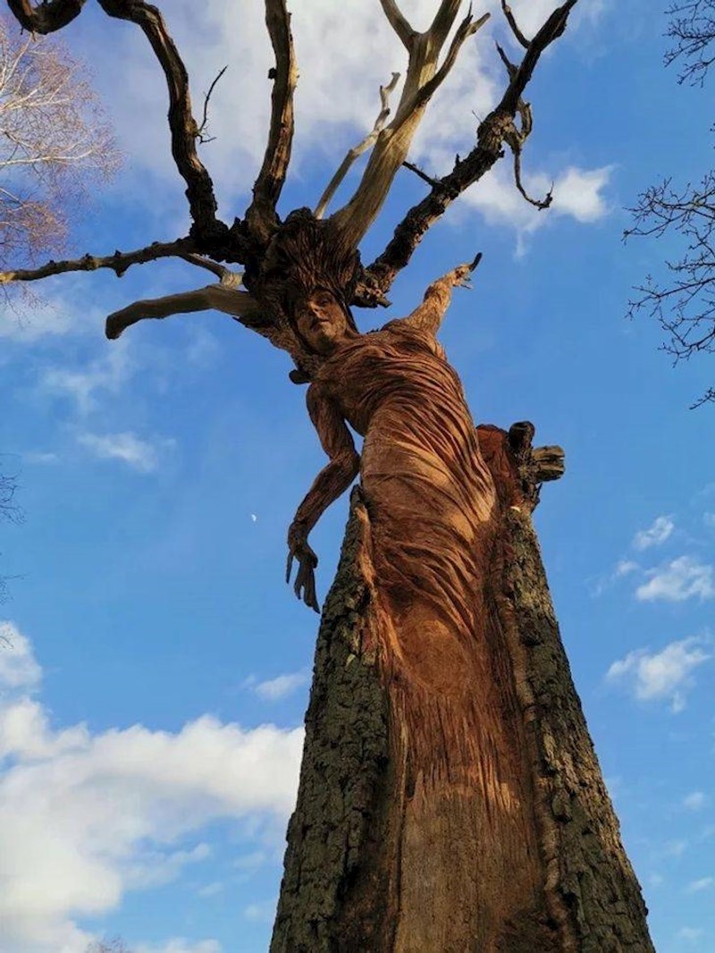 "Priroda je također živa"