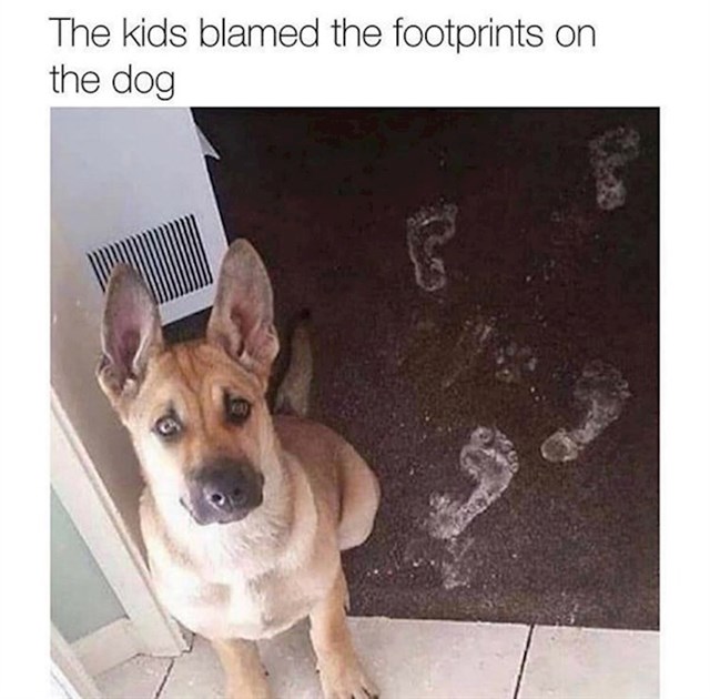 Djeca su optužila psa...
