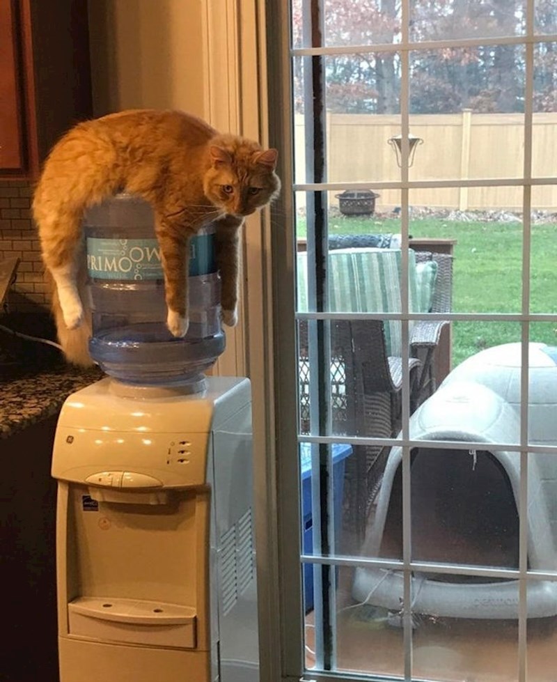 "Ovo je moj novi krevet!"