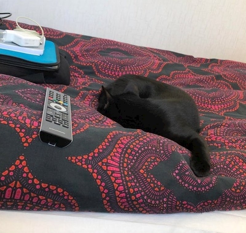 Daljinski upravljač izgleda kao da je photoshopiran na sliku