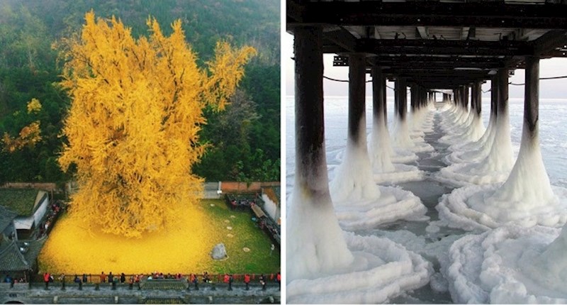 14 slika koje su uslikali ljudi koji su imali nevjerojatnu sreću ovo vidjeti