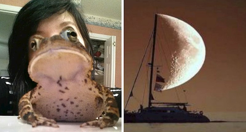 Ove slučajne fotke slikane u savršenom trenutku ispale su prava remek djela