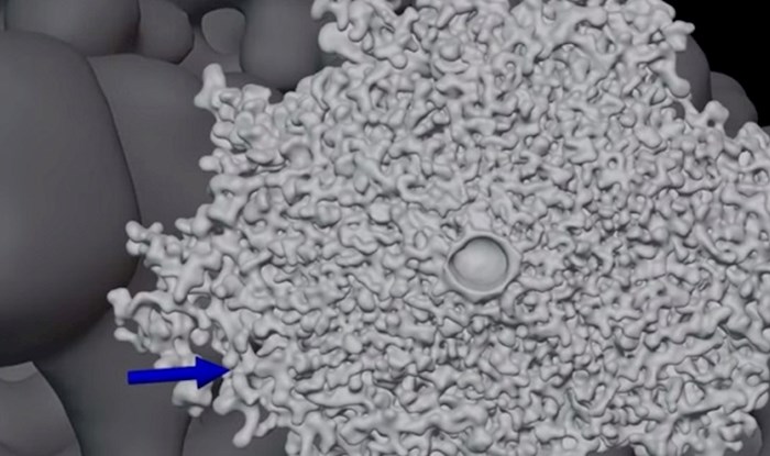 Pogledajte kako je to kretati se tunelima mravinjaka koristeći 3D tehnologiju