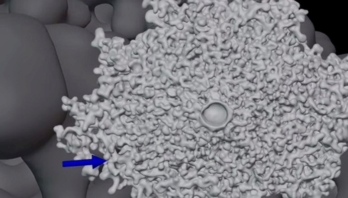 Pogledajte kako je to kretati se tunelima mravinjaka koristeći 3D tehnologiju
