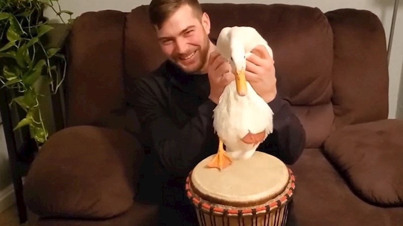 Patak bubnjar rastura kao najbolji rockeri, pogledajte njegovo sviranje