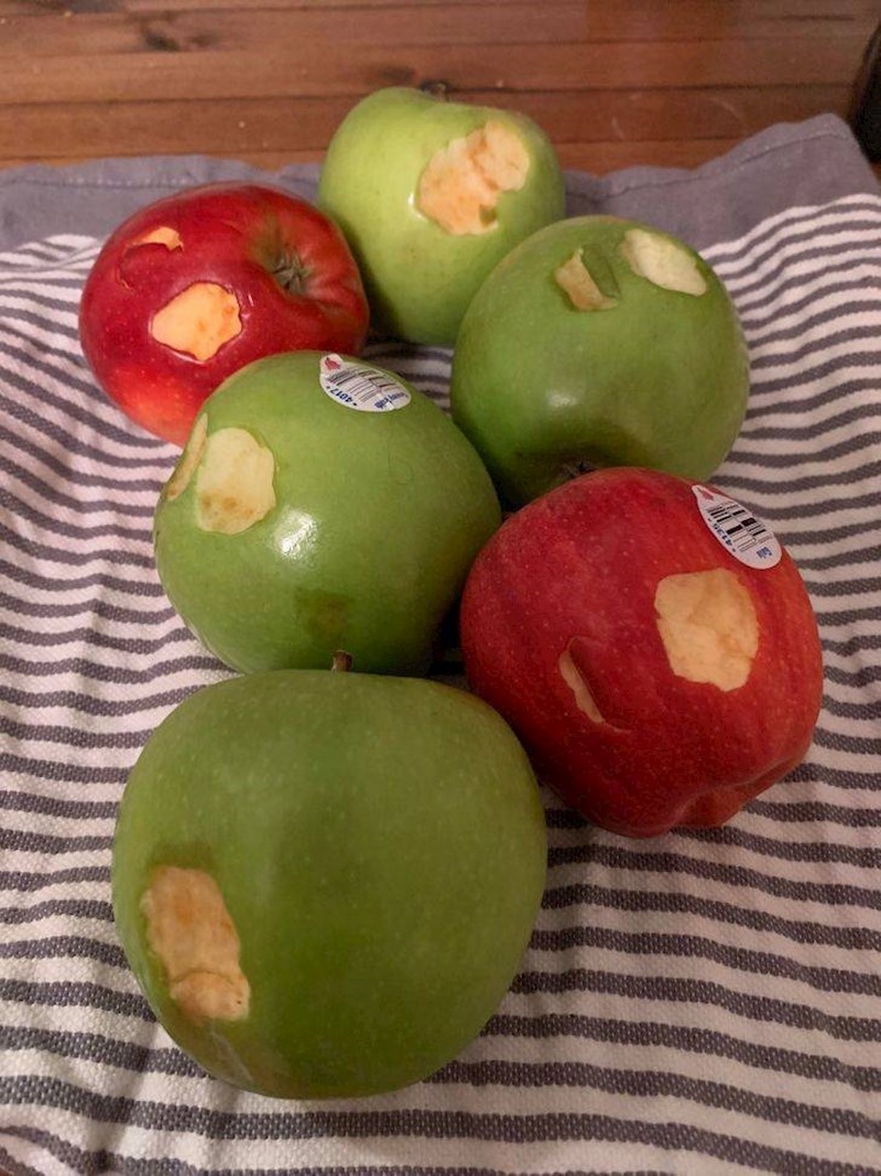 "Evo zašto ne možemo imati lijepe stvari..."