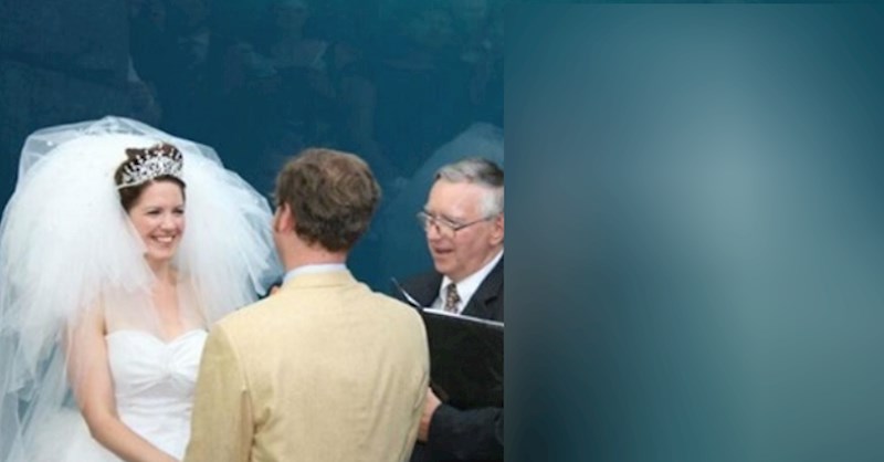 Dolazak ovog "gosta" nasmijao je sve na vjenčanju - pogledajte tko je to došao čestitati mladencima