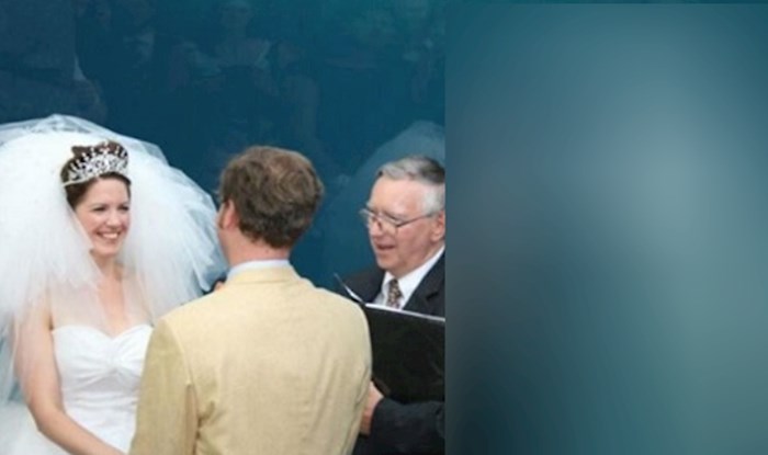 Dolazak ovog "gosta" nasmijao je sve na vjenčanju - pogledajte tko je to došao čestitati mladencima