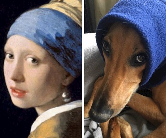 Girl with a Pearl Earring, Vermeer