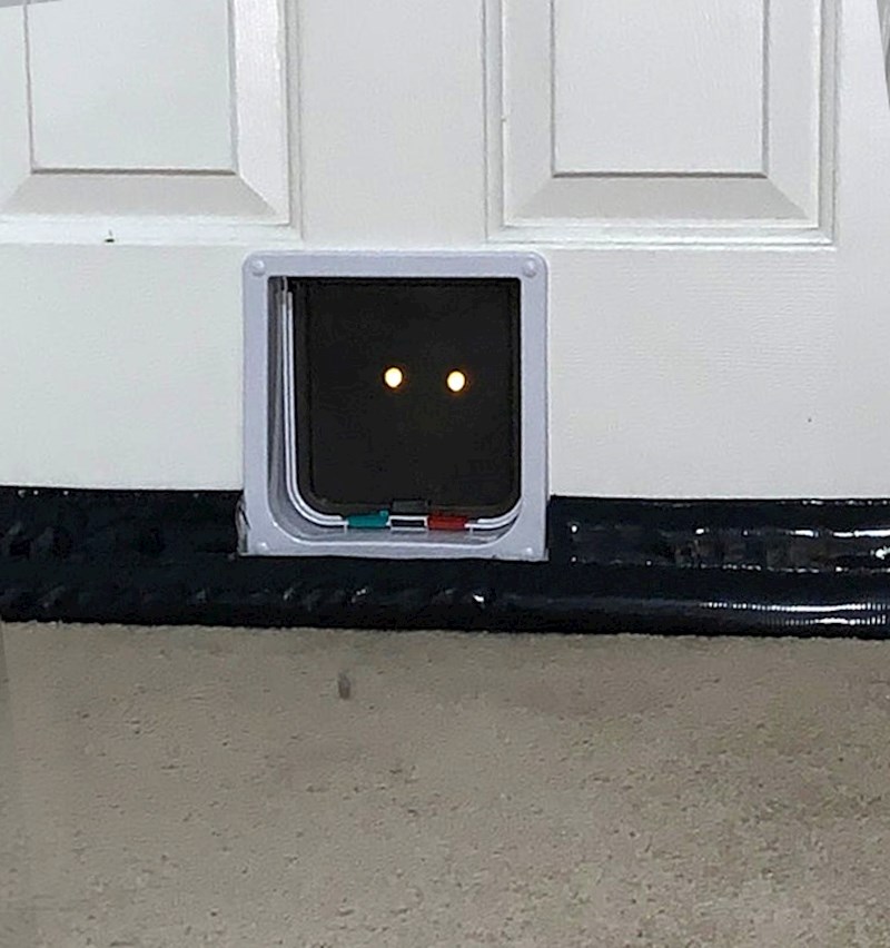 "Umalo sam doživjela infarkt!"