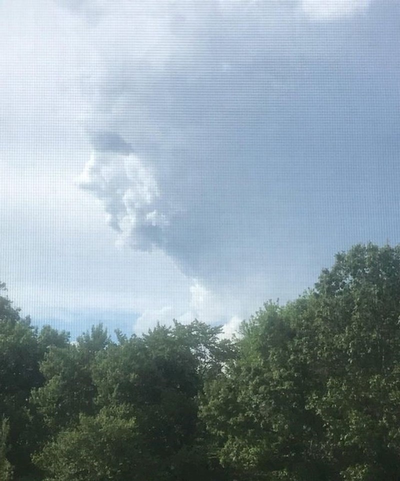 "Lice koje je moj tata jučer uslikao..."