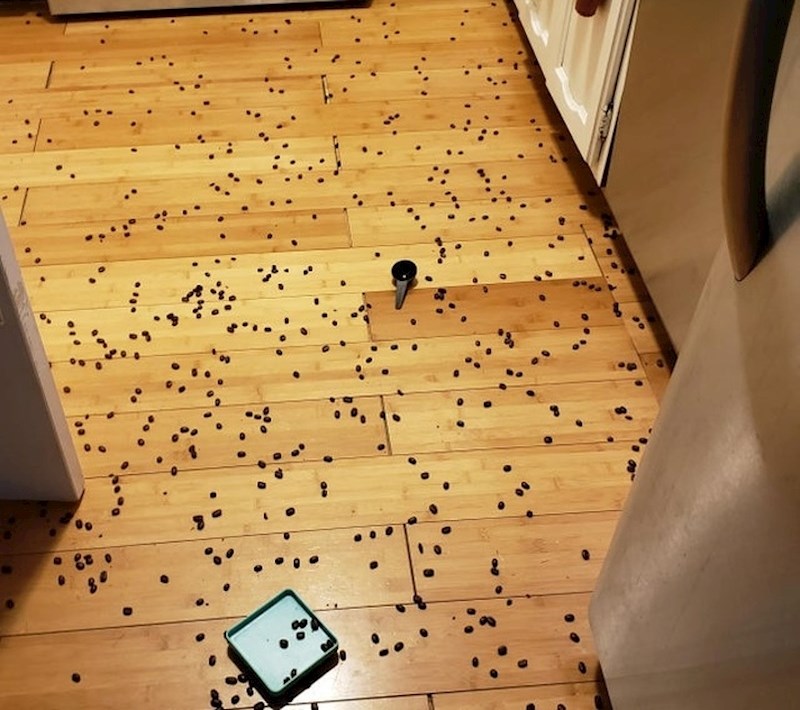 Ništa ne razbuđuje tako dobro kao svježe mljevena kava...