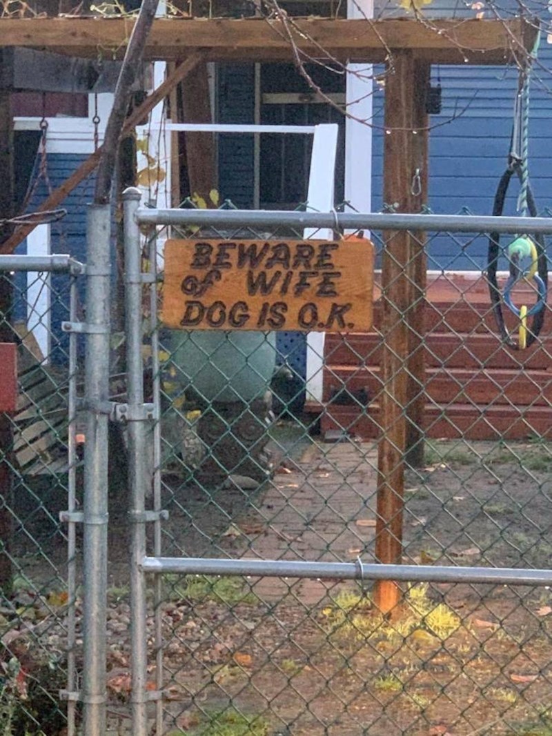 Pazite se žene, pas je ok! 😁