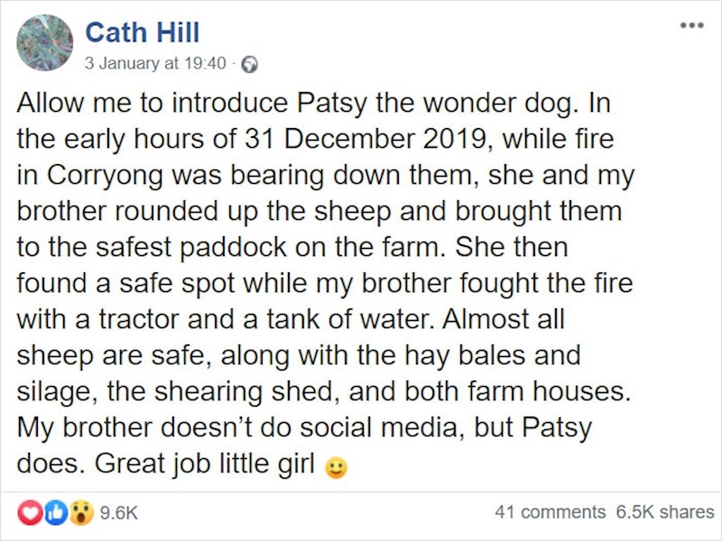 Sestra Patsynog vlasnika morala je to podijeliti sa svijetom