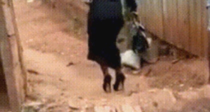 Žena je u blatnjavo selo došla u štiklama, nije teško pogoditi kako je sve završilo