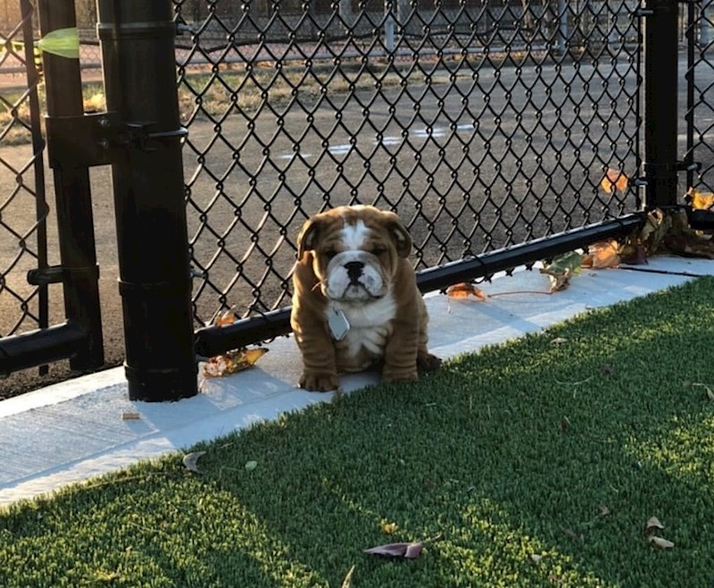 "Tonkin prvi posjet parku!"