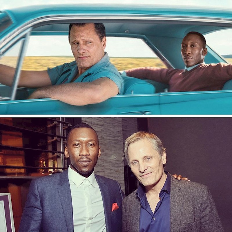 Zelena knjiga: Vodič za život