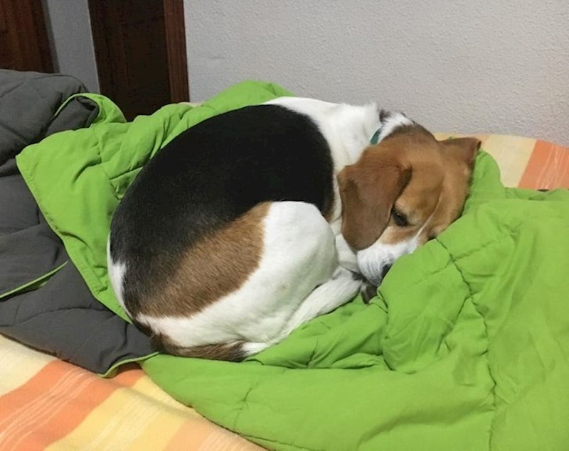 "Uzeo sam sobu dok sam putovao Španjolskom. Kada sam se vratio iz kupaonice, dočekao me ovaj prizor"