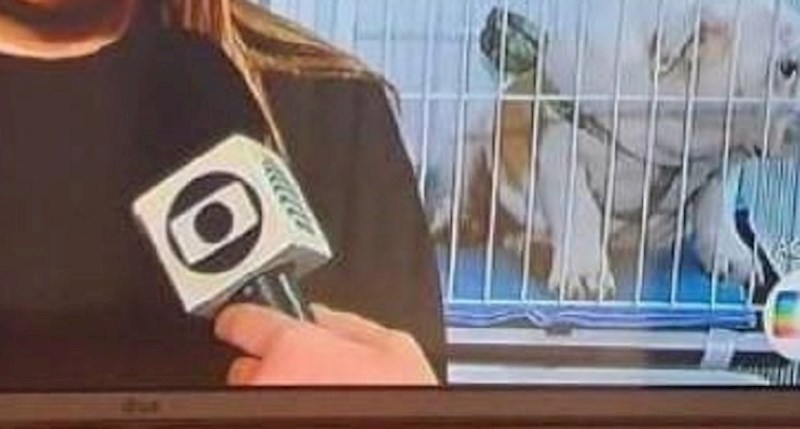 Žena je davala intervju, svi su gledali u njenu zaštitnu masku