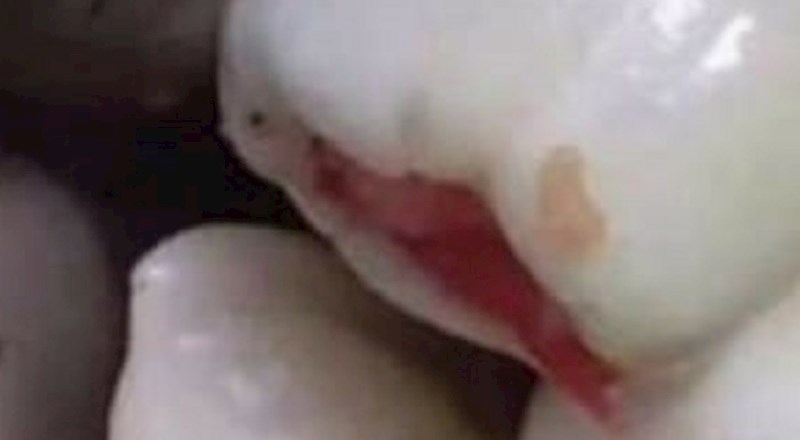 Ljude je na društvenim mrežama ovaj ručak podsjetio na nešto potpuno drugo, kako vama izgleda?