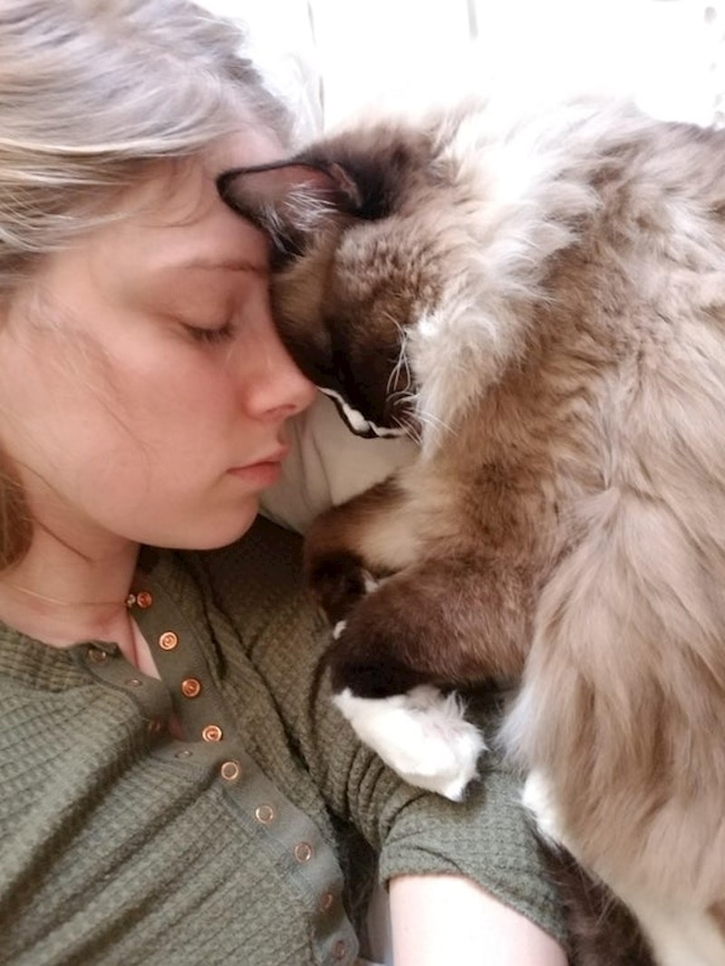 "Moja mačka kada imam migrene"