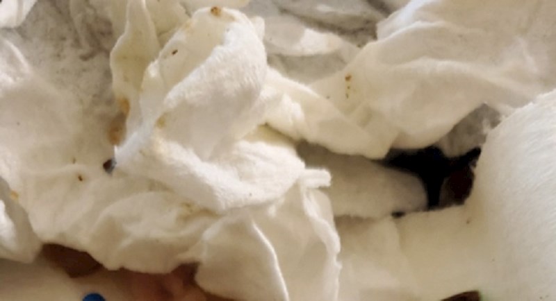 Žena je objavila svoj način jedenja poznatih bombona i zgrozila internet