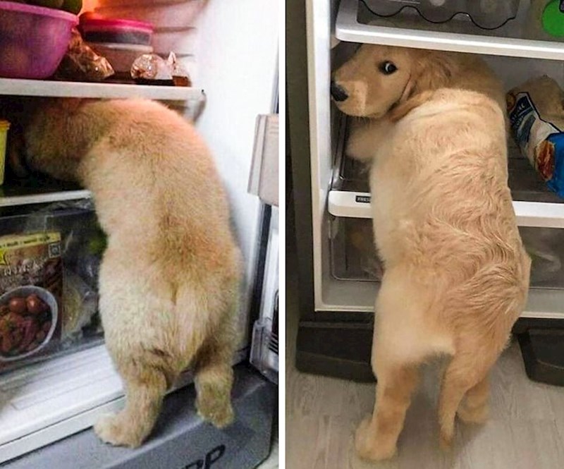 "Nisi me vidio, ok?"