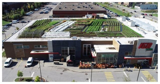 Ovaj supermarket na svom krovu ima vrt u kojem raste povrće koje prodaju u dućanu