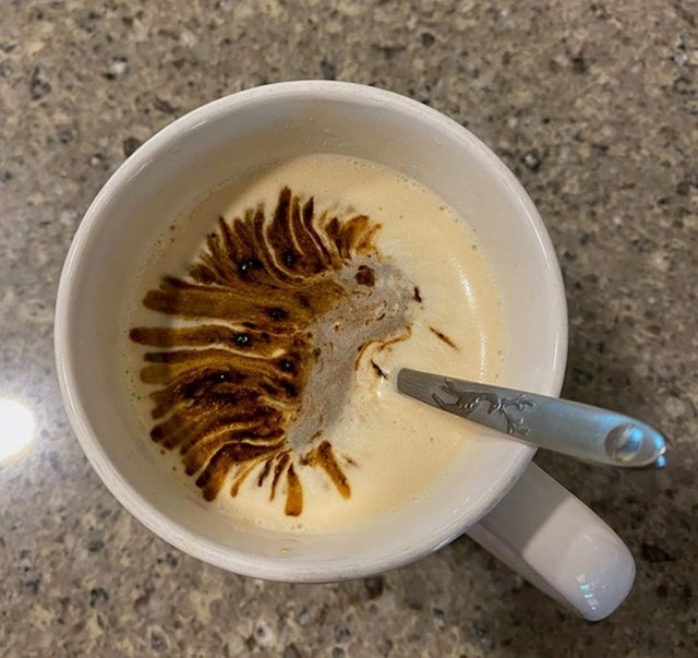 Kad želiš ukrasiti kavu, pa dobiješ ježa