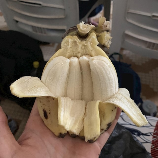 Čuda prirode koja nam dokazuju da nas naš svijet još uvijek može iznenaditi spojene banane