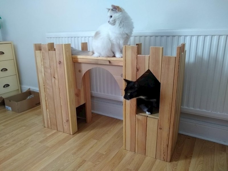 Stari krevet postao je dvorac za mačke