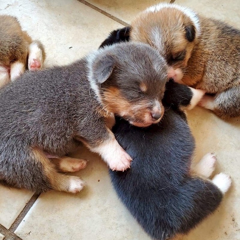 Maleni smo i preslatki