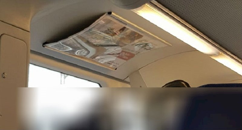 U ZET-u se ponekad voze neobični putnici, pogledajte ovog malog švercera