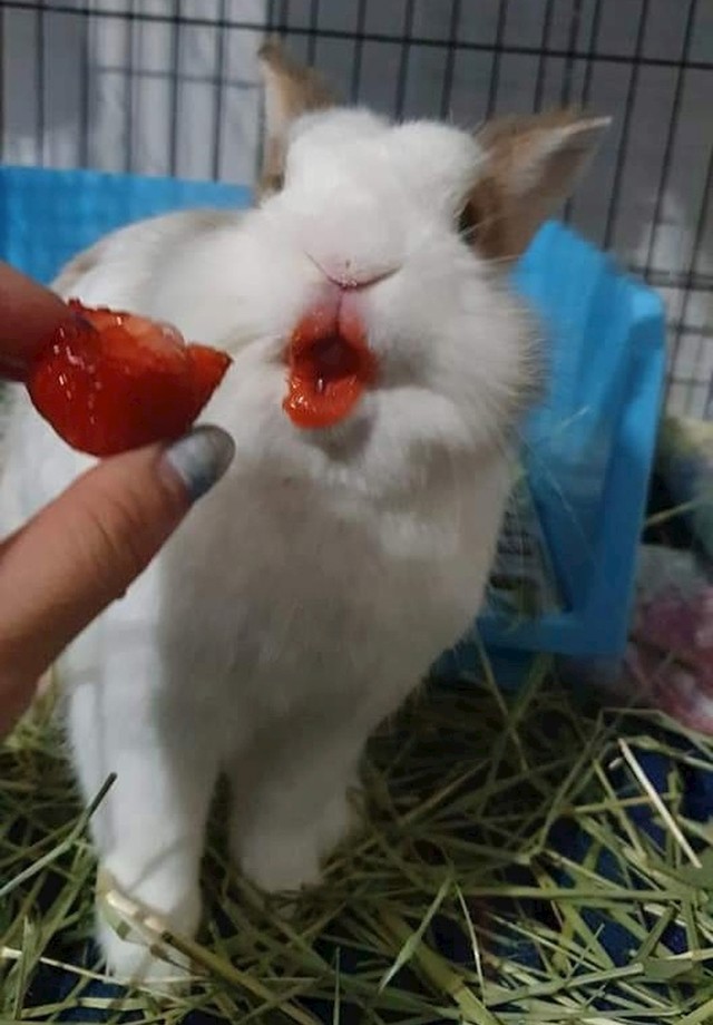 :D