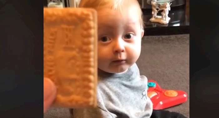 VIDEO Rijetko što je tako slatko kao klinci kada vide hranu