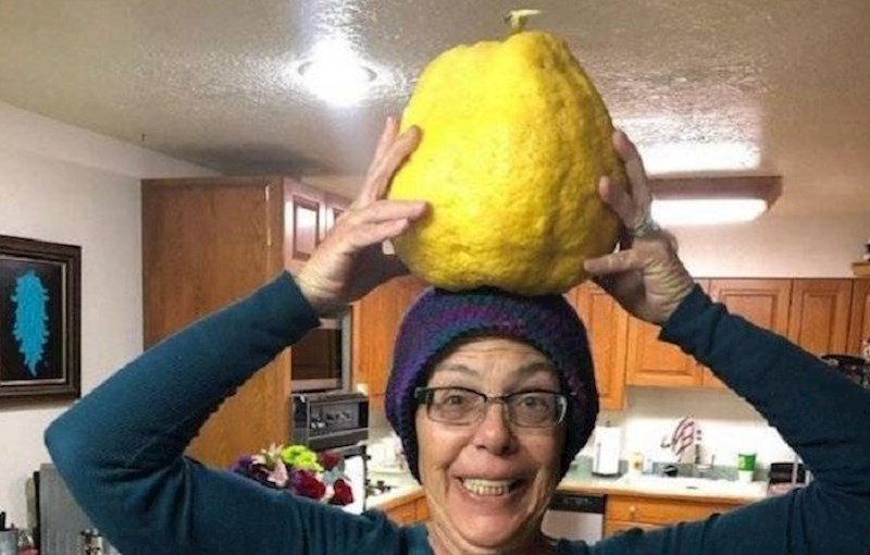 Predmeti za koje nikada ne bi pomislili da mogu biti toliko veliki