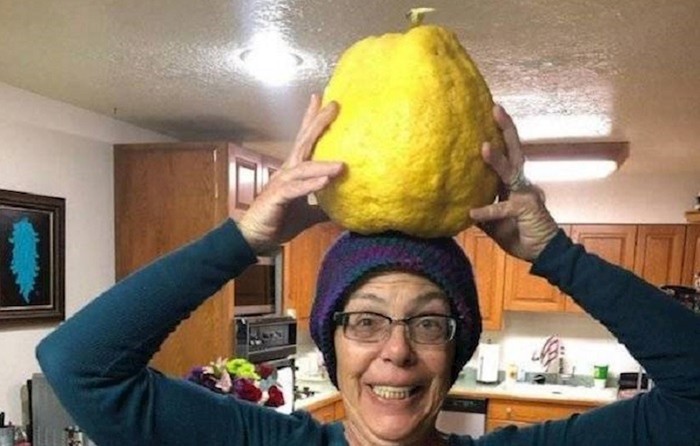 Predmeti za koje nikada ne bi pomislili da mogu biti toliko veliki