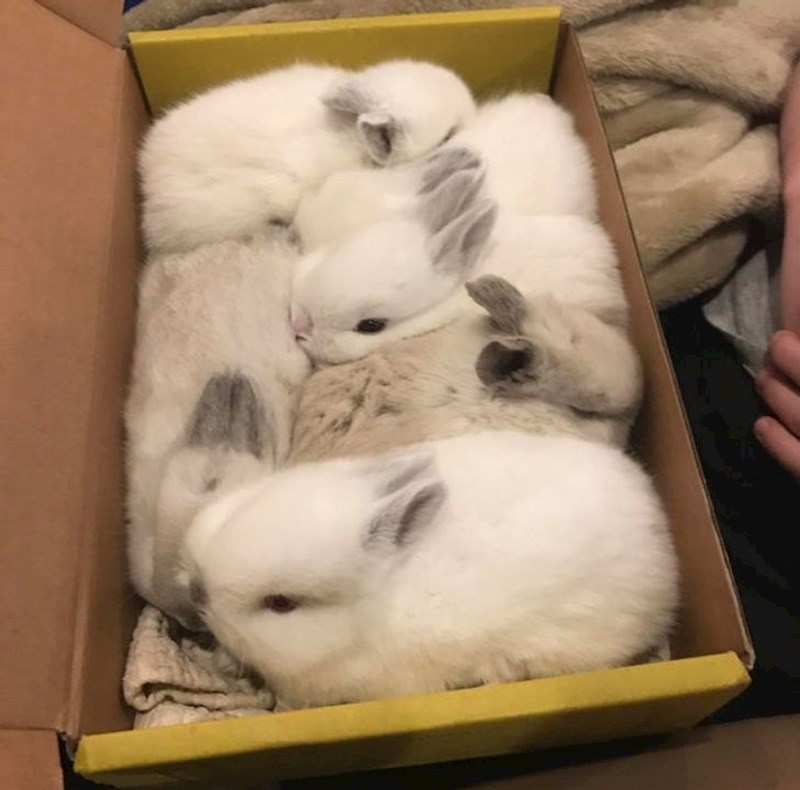 Preslatki paketić! :D