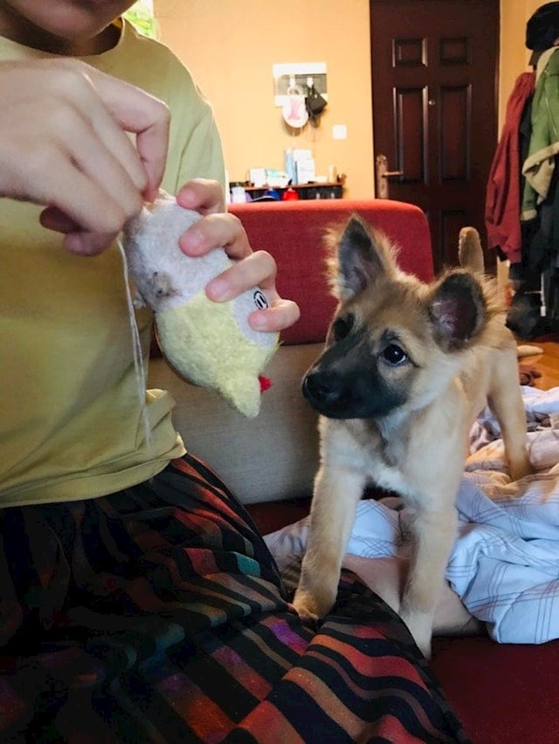 "Nestrpljivo očekuje kraj operacije..."