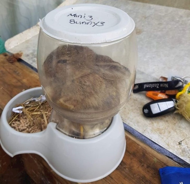 "Ostavio sam ga na samo 5 minuta..."