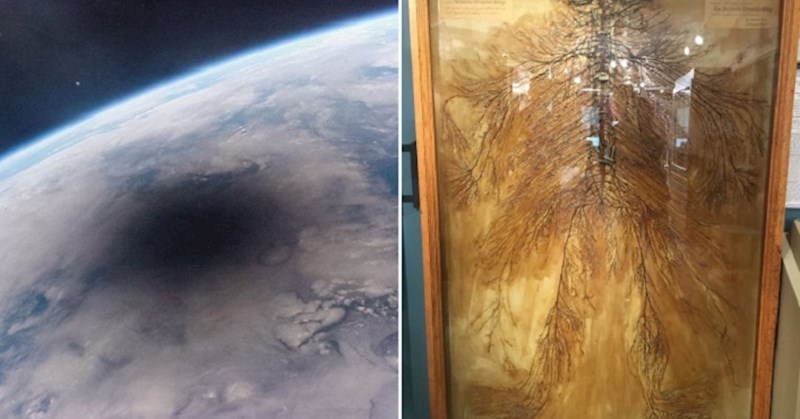 Desetak fascinantnih stvari koje se rijetko mogu vidjeti