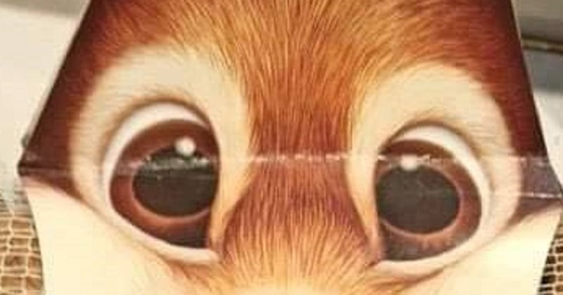 Jeste li ikada vidjeli originalnije pakiranje proizvoda? Ovo će vas oduševiti